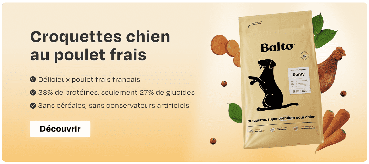 Balto croquettes chien