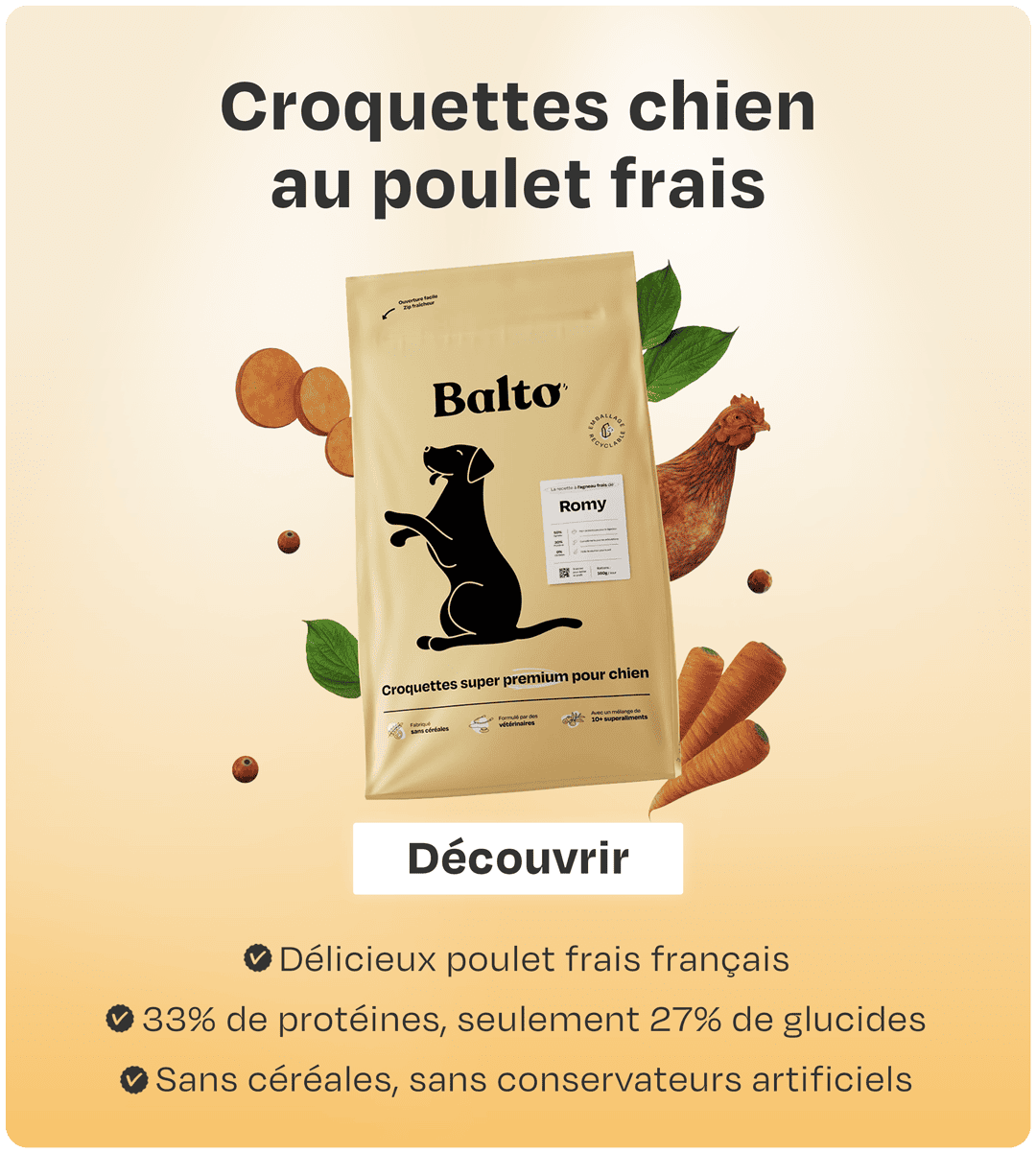 Balto croquettes chien